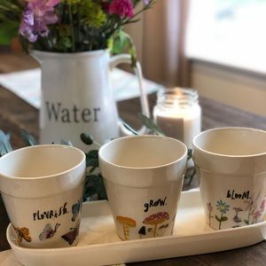 RAE DUNN Plant Pots with Tray RARE